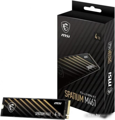 SSD MSI Spatium M461 4TB S78-440R030-P83 