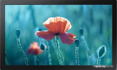Интерактивная панель Samsung QB13R-T 