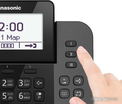 Panasonic KX-TGF310RUM 