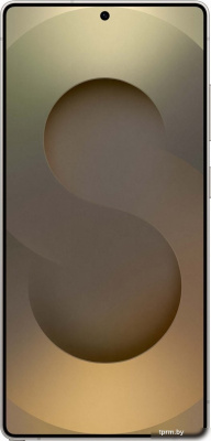 Смартфон Samsung Galaxy S25 Ultra SM-S938B 12GB/512GB (серый титан) 