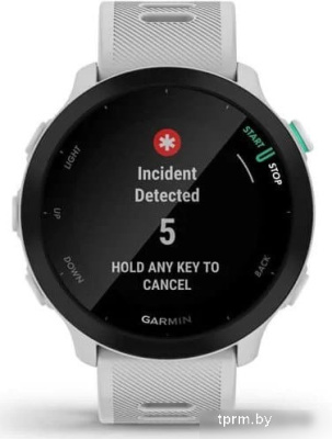 Умные часы Garmin Forerunner 55 (белый) 