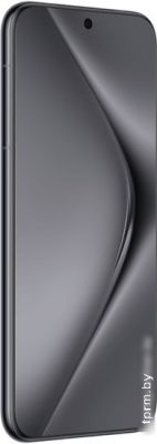 Смартфон Huawei Pura 70 Pro HBN-LX9 12GB/512GB (черный) 