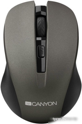 Мышь Canyon CNE-CMSW1G 