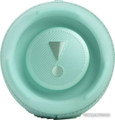 JBL Charge 5 (бирюзовый) 