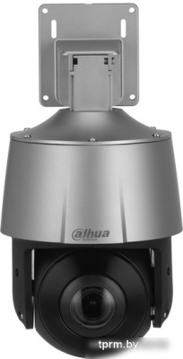 IP-камера Dahua DH-SD3A205-GNP-PV 
