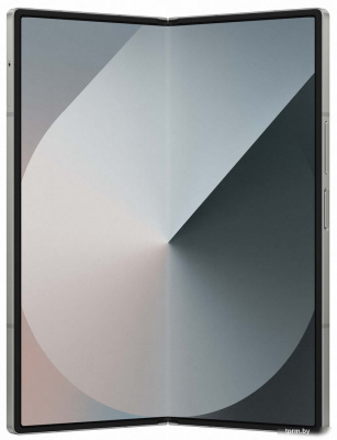 Смартфон Samsung Galaxy Z Fold6 SM-F956B/DS 12GB/1TB (серый) 