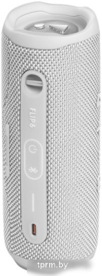 JBL Flip 6 (белый) 
