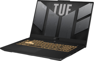 Игровой ноутбук ASUS TUF Gaming F17 FX707VUR-HX208 