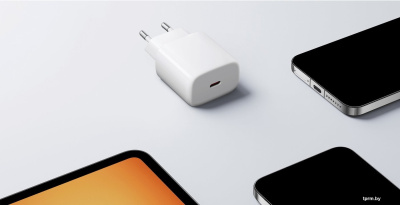 Сетевое зарядное Xiaomi 20W Fast Charging Power Adapter Type-C MDY-20-EG (международная версия) 