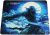 Raskat Rogue SW - M Raskat Rogue SW - M