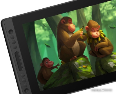 Графический монитор Huion Kamvas Pro 16 