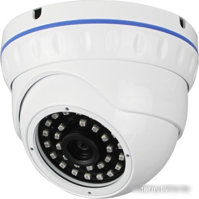 IP-камера Longse LS-IP100/42 