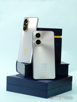 Смартфон Huawei nova 10 SE BNE-LX1 с NFC 8GB/128GB (мятный зеленый) 