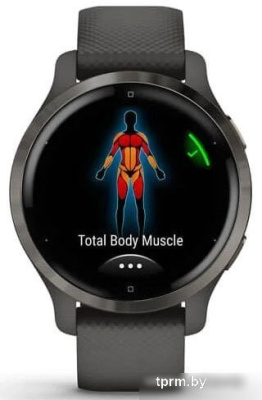 Умные часы Garmin Venu 2S (сланцевая нержавеющая сталь/черный) 