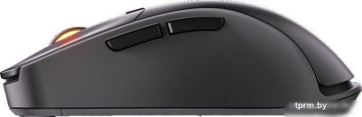 Игровая мышь Cougar Surpassion RX (черный) 