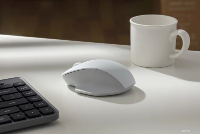 Xiaomi Wireless Mouse Comfort Edition XMWXSB04YM (белый, международная версия) 
