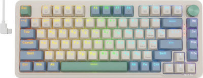 Клавиатура Redragon Ucal Pro (бежевый/зеленый) 