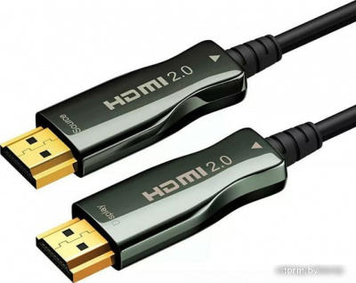 Wize HDMI - HDMI AOC-HM-HM-30M (30 м, черный) 