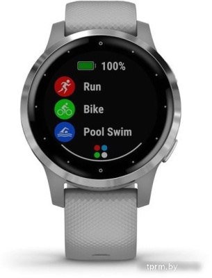 Умные часы Garmin Vivoactive 4s (серый/серебристый) 