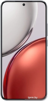 Телефон HONOR X9d 12GB/256GB международная версия (графитовый) 