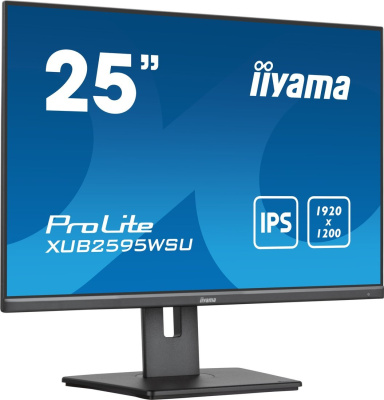 Монитор Iiyama ProLite XUB2595WSU-B5 