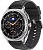 Умные часы Samsung Galaxy Watch8 Classic 46 мм LTE (серебристый/черный) 