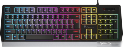 Клавиатура Genesis Rhod 300 RGB 