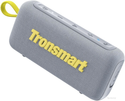 Беспроводная колонка Tronsmart Trip 2 (серый) 