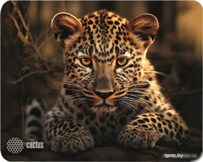 Коврик для мыши CACTUS CS-MP-D06S