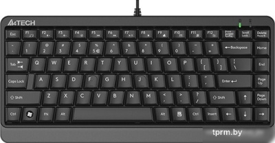 Клавиатура A4Tech Fstyler FKS11 (черный/серый) 