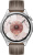Умные часы Huawei Watch GT 6 46 мм (серебристый, с коричневым кожаным ремешком, международная версия) 