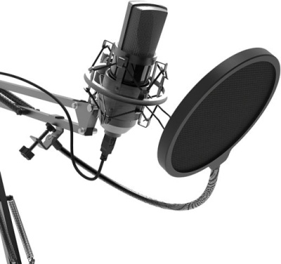 Микрофон Ritmix RDM-180 