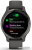 Умные часы Garmin Venu 2S (сланцевая нержавеющая сталь/черный) 
