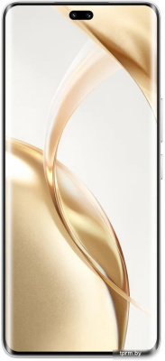 Смартфон HONOR 200 Pro 12GB/512GB международная версия (лунный белый) 