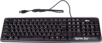 Клавиатура Ritmix RKB-103 USB 