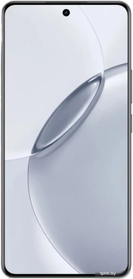 Realme 16 Pro+ 5G 8GB/256GB международная версия (серый) 