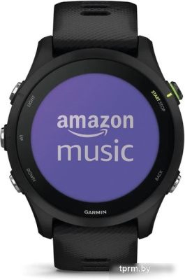 Умные часы Garmin Forerunner 255 Music 46 мм (черный) 