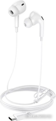 Наушники Hoco M101 Pro USB Type-C (белый) 