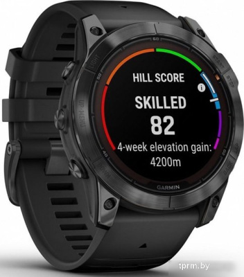 Garmin Fenix 7 Pro Solar (сланцево-серый/черный) 