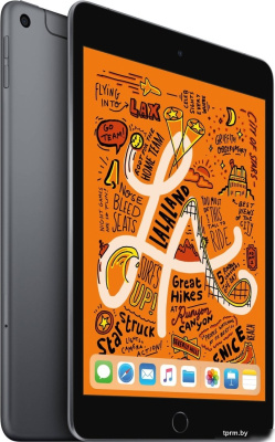 Apple iPad mini 2019 256GB LTE MUXC2 (серый космос) 