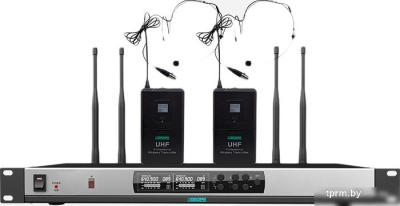 Радиосистема DSPPA D5823