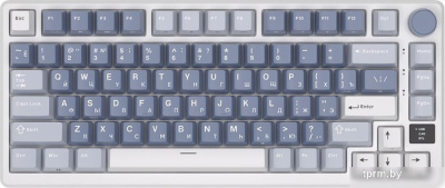 Клавиатура Royal Kludge RK-M75 (белый/синий, RK Sliver) 