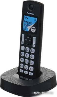 Panasonic KX-TGC310RU1 
