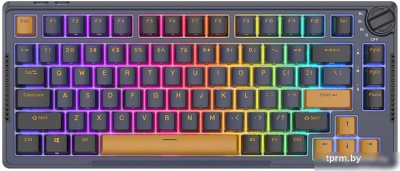 Клавиатура Royal Kludge RK-H81 RGB Star Night (RK Cyan) 