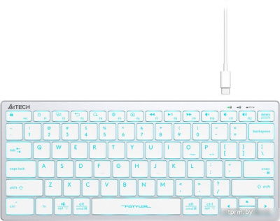 Клавиатура A4Tech Fstyler FX61 (серебристый/белый) 