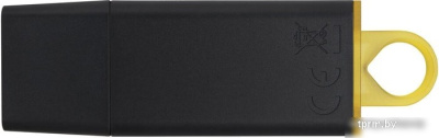 USB Flash Kingston Exodia 128GB 