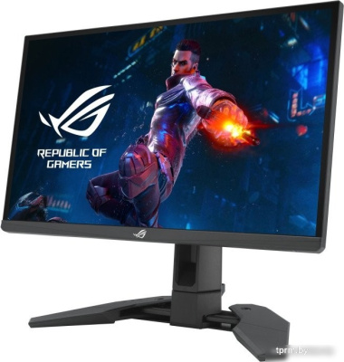 Игровой монитор ASUS ROG Swift Pro PG248QP 