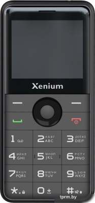 Телефон Xenium X700 (черный) 