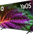 Телевизор BBK 65LED-8260/UTS2C Телевизор BBK 65LED-8260/UTS2C