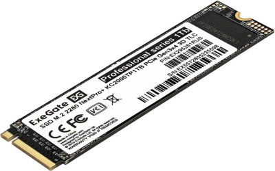 ExeGate NextPro+ 1TB KC2000TP1TB 